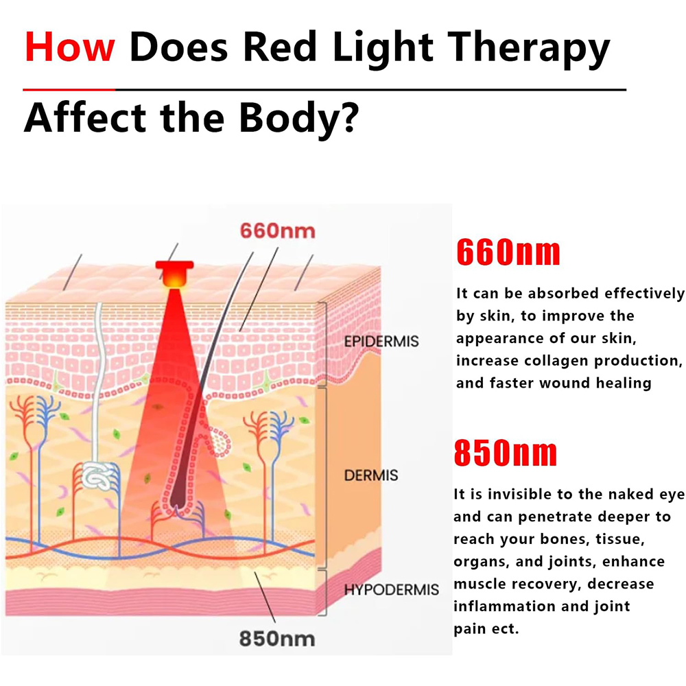 2025 New 60 Leds Red and Near- - Galvanic Skin Sensor のレビューと価格