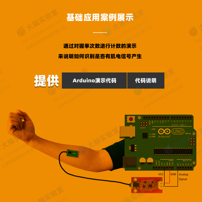 EMG Single Conduction Muscle E - Muscle Sensor Emg のレビューと価格